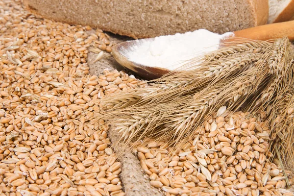 Brød, korn og skje av tre på avskalling – stockfoto