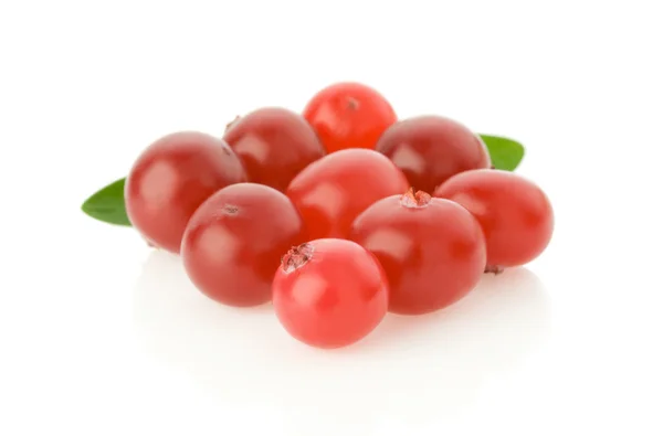 Ripe cranberry isolated on white — Stock Photo, Image