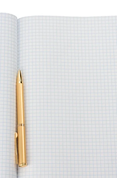 Penna på markerade anteckningar — Stockfoto