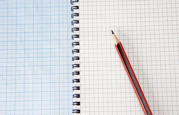 Grafiekpapier raster en notebook — Stockfoto