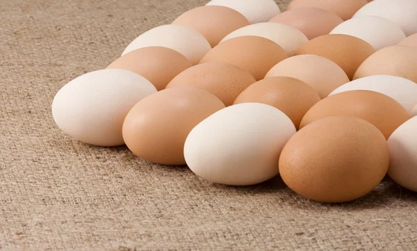 Много яиц — стоковое фото