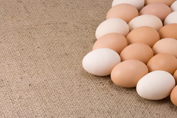 鸡蛋上洗劫 — 图库照片