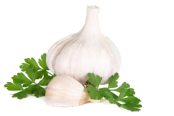Isolated garlic and green parsley — Stock Photo, Image