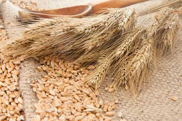 Grain and wood spoon on sacking — Stock Photo, Image