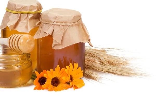 Pot of honey and flowers on white — Stock Photo, Image