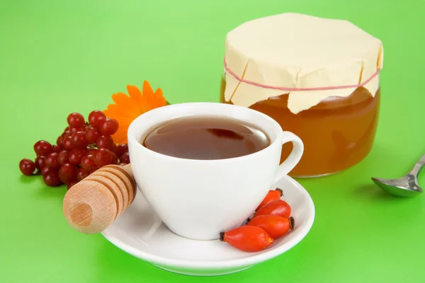 Viburnum, berry dog, tea and honey — Stock Photo, Image