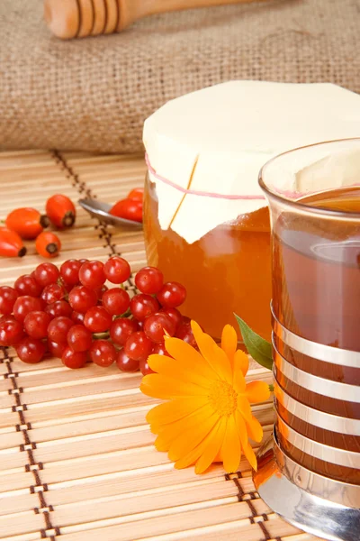 Tea, flower, honey, viburnum and berry dog — Stock Photo, Image