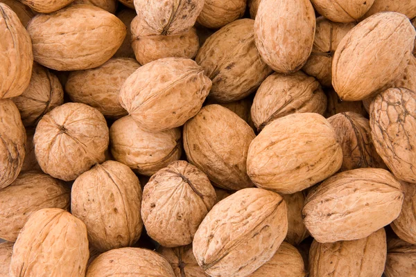 Celá vlašské ořechy — Stock fotografie