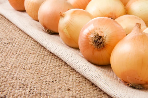 stock image Onion on sack background