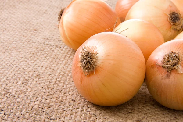 stock image Onion on sacking