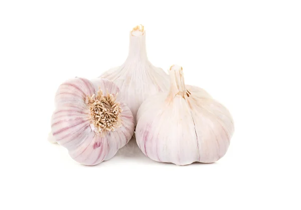Isolated garlics on white — Stock Photo, Image