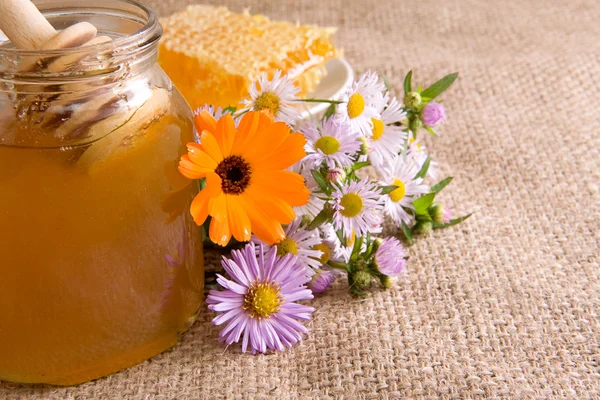 Honeycomb, flowers and honey in pot — Stock Photo, Image