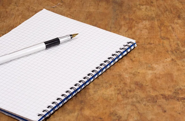 Bolígrafo de tinta y cuaderno aglutinante — Foto de Stock