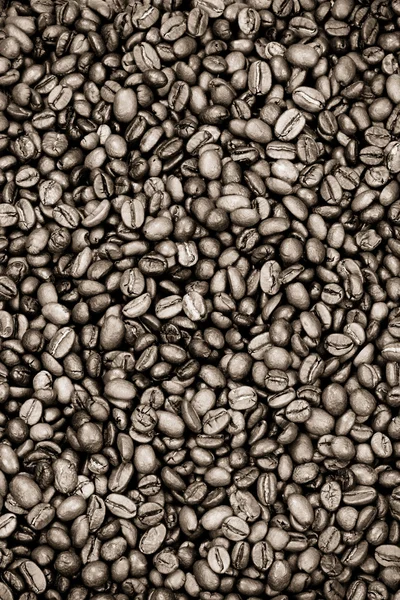 Kaffebönor på sepia — Stockfoto