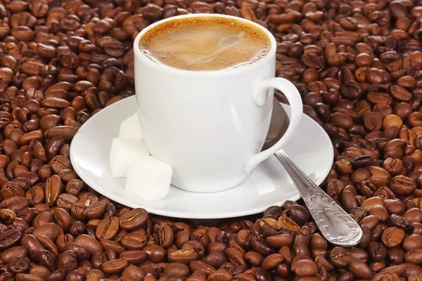 Kaffee und Zucker — Stockfoto