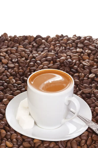 Caffè a fagioli — Foto Stock