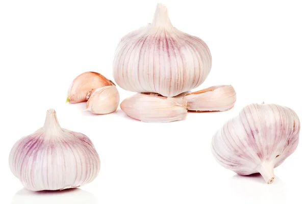 Closeup zralé garlics — Stock fotografie