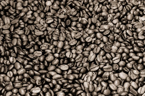 Sepie kávová zrna — Stock fotografie