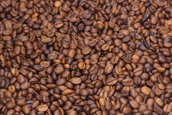 Textur aus Kaffee — Stockfoto