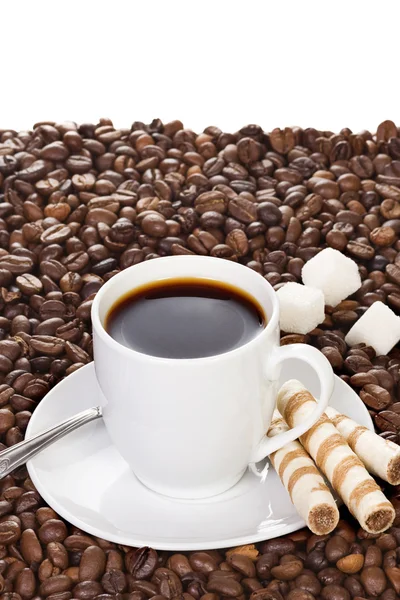 Kávé bab — Stock Fotó