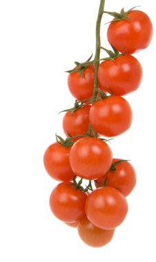 beyaz izole kırmızı domates Şubesi