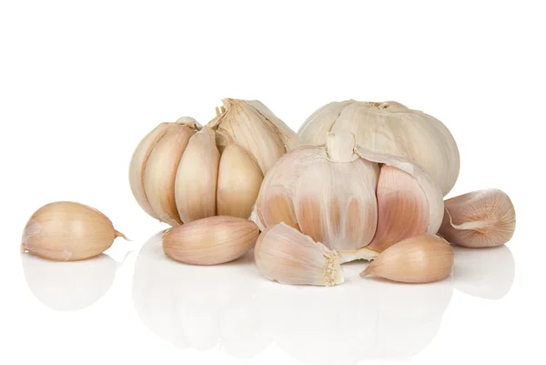 Garlics geïsoleerd op wit — Stockfoto