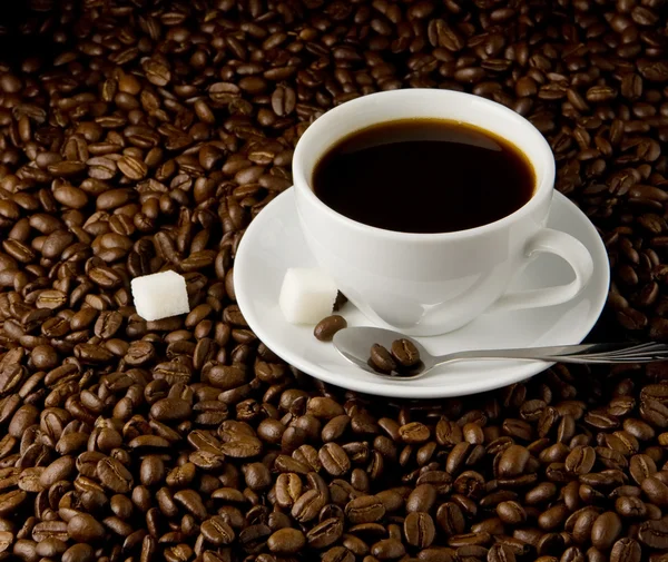Tasse Kaffee auf Bohnen — Stockfoto