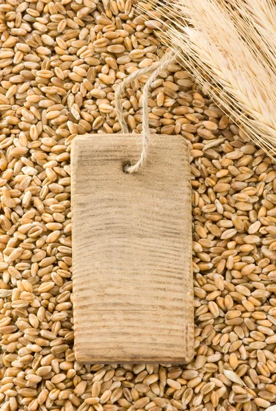 Wheat grain and tag price — Stock Photo, Image
