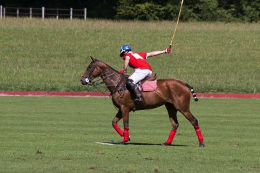 Polo player clipart