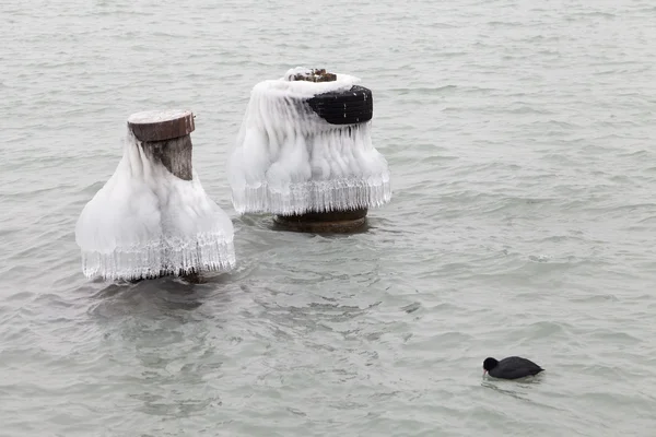 Congelar en el agua —  Fotos de Stock