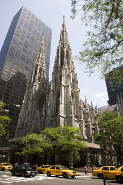 St. Patrick's Cathedral clipart