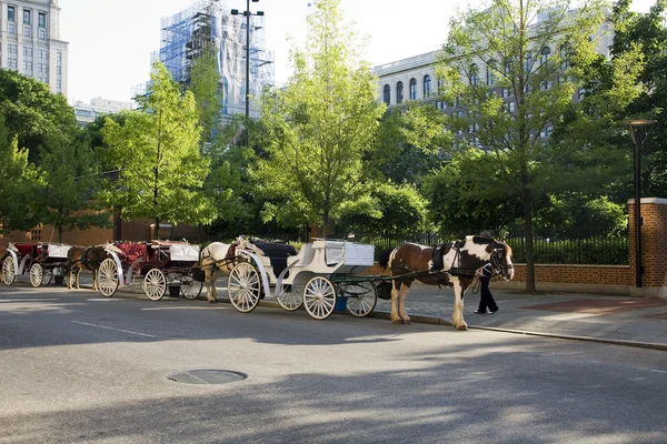 Chariots tirés par des chevaux — Photo