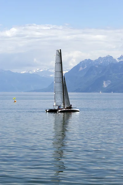 stock image Catamaran