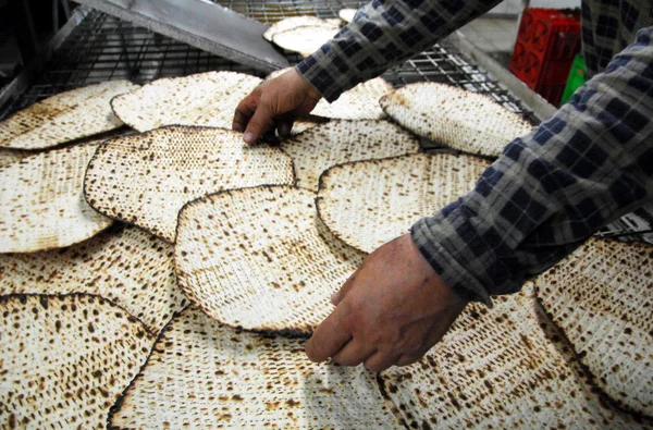Glat kosher matzah továrna — Stock fotografie
