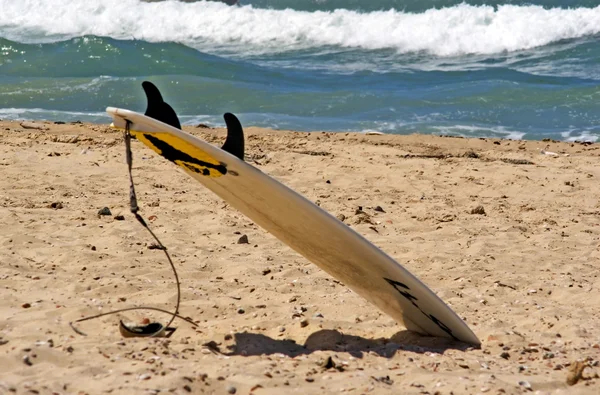 Tengeri Sport - hullám szörfözés — Stock Fotó