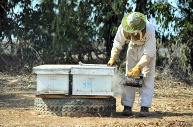 Israel's Honey Industry clipart
