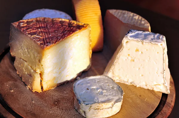 Essen und Küche - Käse — Stockfoto