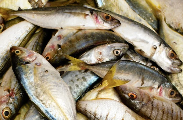 Żywności i kuchnia - ryby — Zdjęcie stockowe