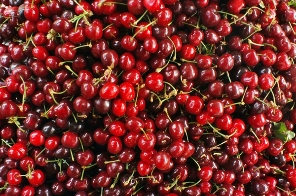stock image Close Up of Cherries