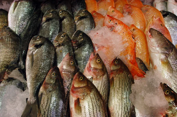 Продукты питания и кухня - Рыба — стоковое фото