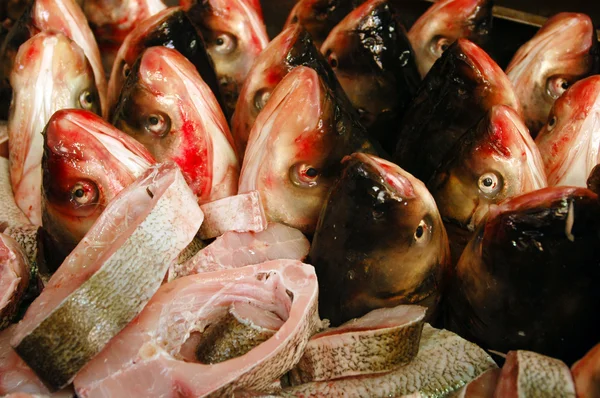Żywności i kuchnia - ryby — Zdjęcie stockowe
