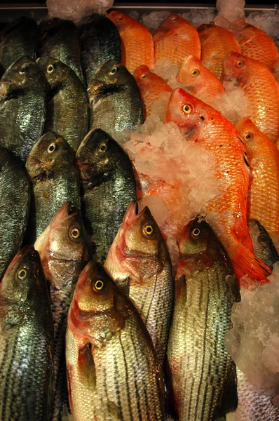 食品・魚料理- — ストック写真