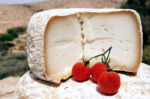 Potraviny a pokrmy - sýr — Stock fotografie