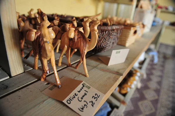 Öken turism - kamel — Stockfoto