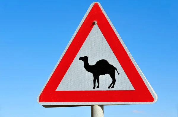 Desert Road Sign — Stock Photo, Image