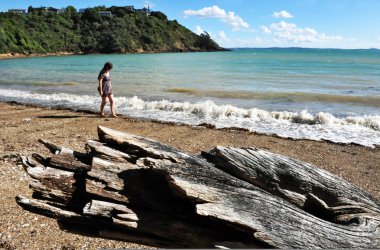 Yeni Zelanda waiheke Adası