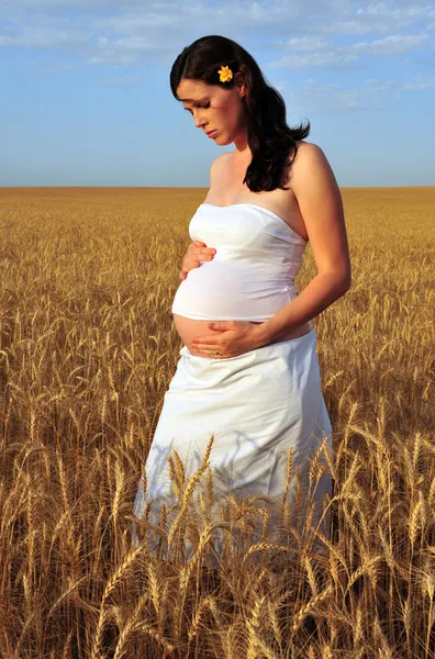 A young pregnant woman in a wheat field. — Stock Photo, Image