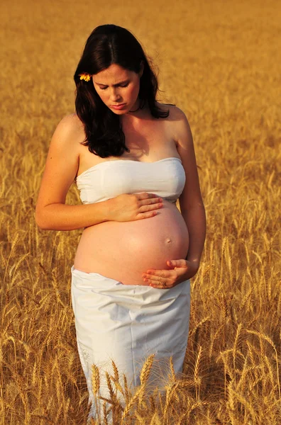 Eine junge schwangere Frau in einem Weizenfeld. — Stockfoto