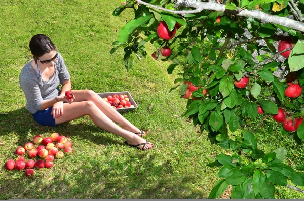 Ovoce a zelenina - apple — Stock fotografie