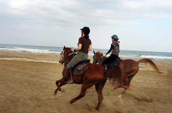 Équitation dans Oman — Photo